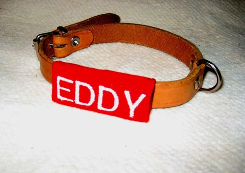 Halsband - Umkletter EDDY