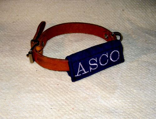 Gestickter Umkletter ASCO