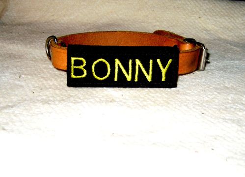 Halsband - Umkletter BONNY