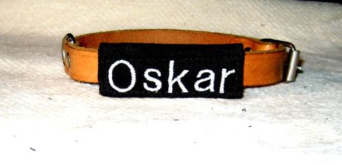 Halsband - Umkletter Oskar